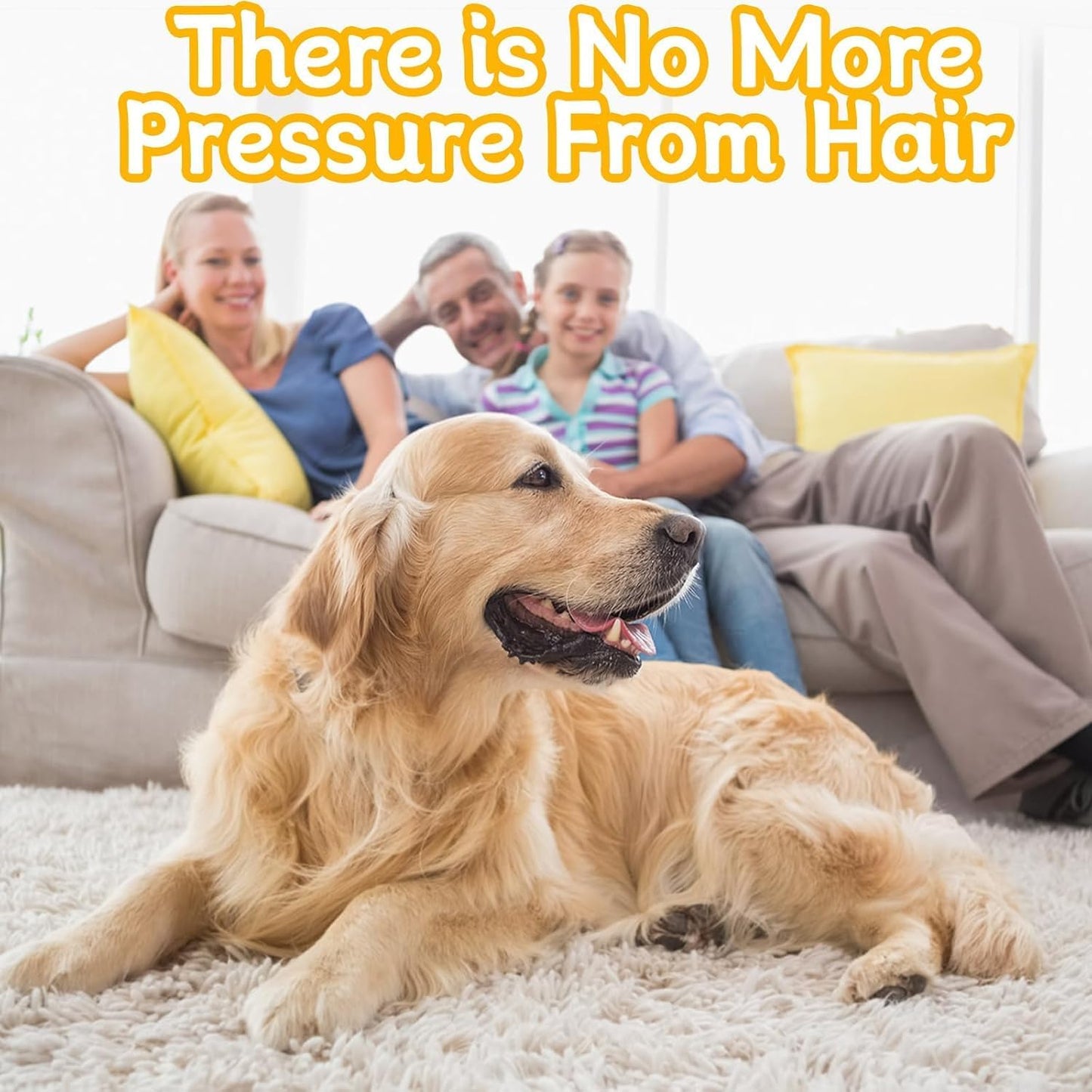 Pet Hair Removal Brush
