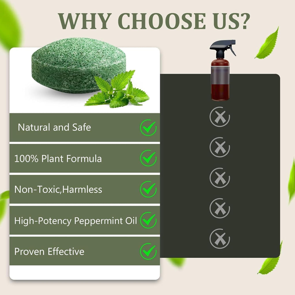 Ecofriendly Rat Repellent Pill (10 Piece)