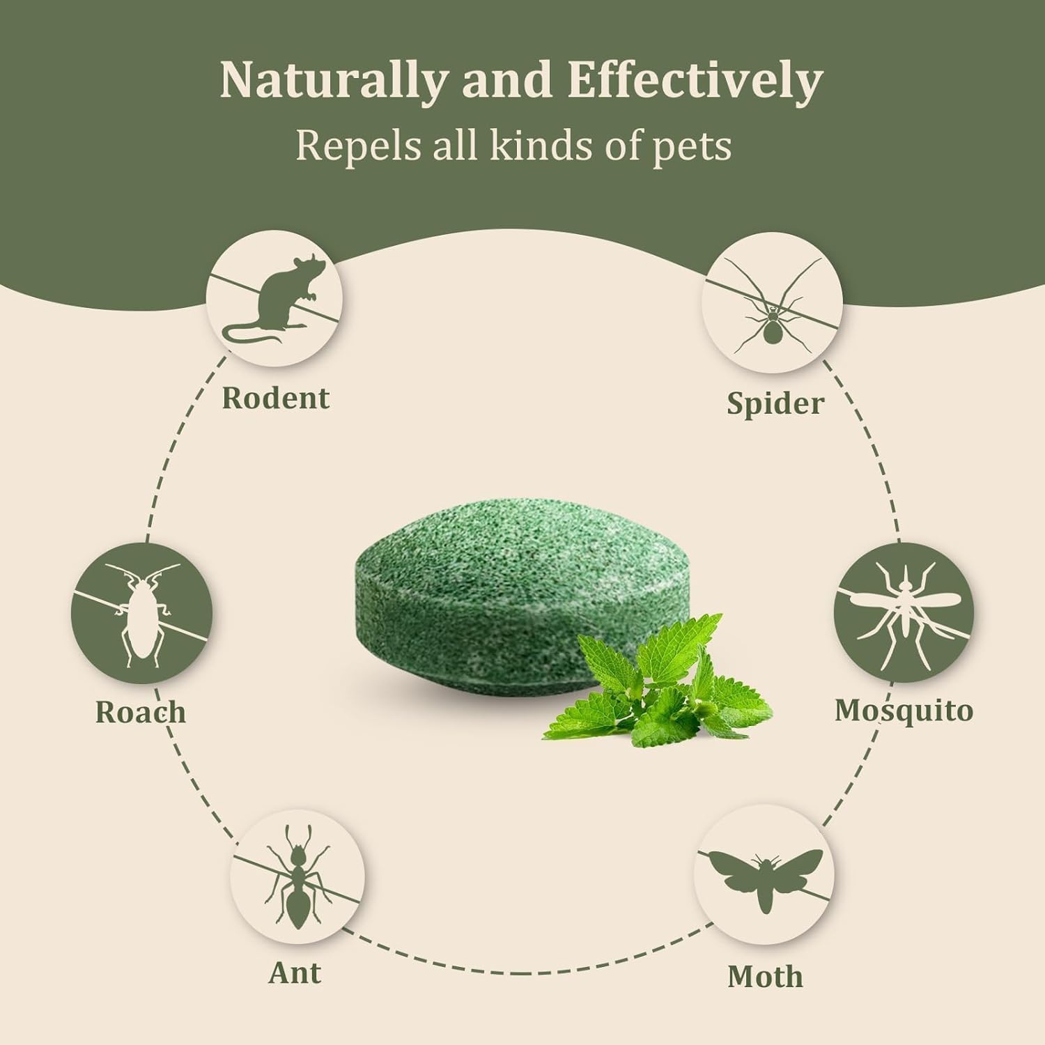 Ecofriendly Rat Repellent Pill (10 Piece)
